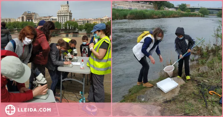 Descobrint els invertebrats aquàtics del Segre
