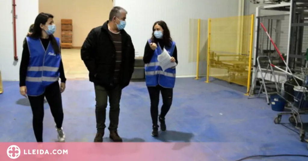 ⏯️ Més de 100 empreses agràries i pagesos del Segrià s'inscriuen als cribratges