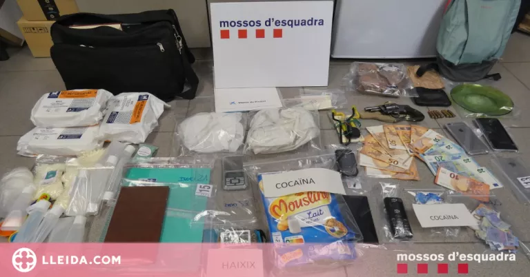 Detenen una parella al Pirineu per traficar amb drogues i tinença d'armes