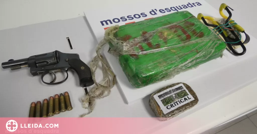 Detenen una parella al Pirineu per traficar amb drogues i tinença d'armes