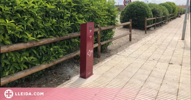 Benavent de Segrià instal·la papereres per recollir els excrements dels gossos