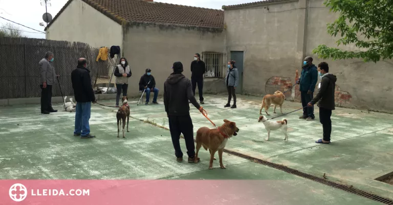 Persones sense llar eduquen gossos del Refugi dels Peluts de Lleida
