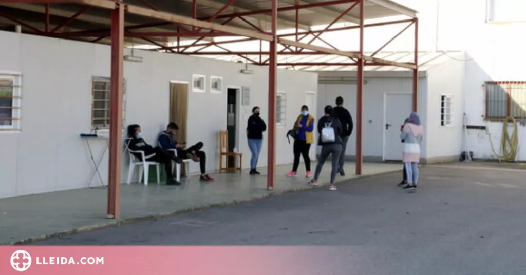 ⏯️ Comencen els cribratges preventius a empreses agràries de Lleida