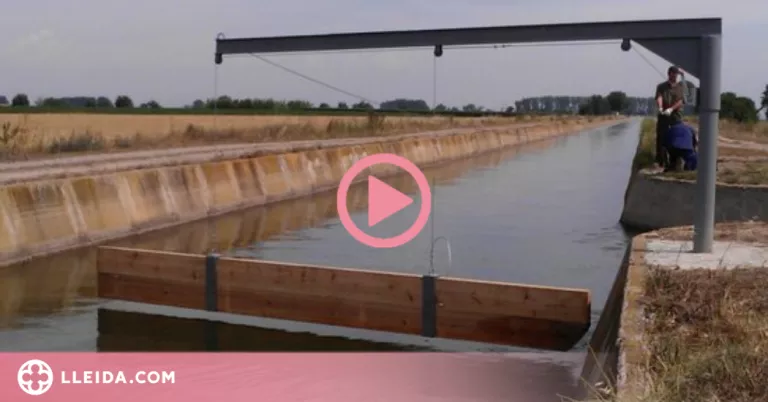 ⏯️ Més protecció al canal d'Urgell per evitar que s'hi ofeguin animals salvatges