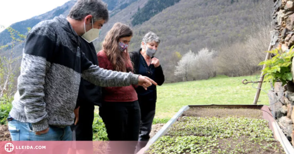 ⏯️ Horts voluntaris al Pallars Sobirà i l'Alt Urgell per recuperar i conservar varietats tradicionals
