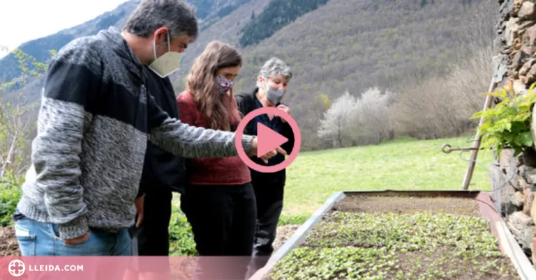 ⏯️ Horts voluntaris al Pallars Sobirà i l'Alt Urgell per recuperar i conservar varietats tradicionals