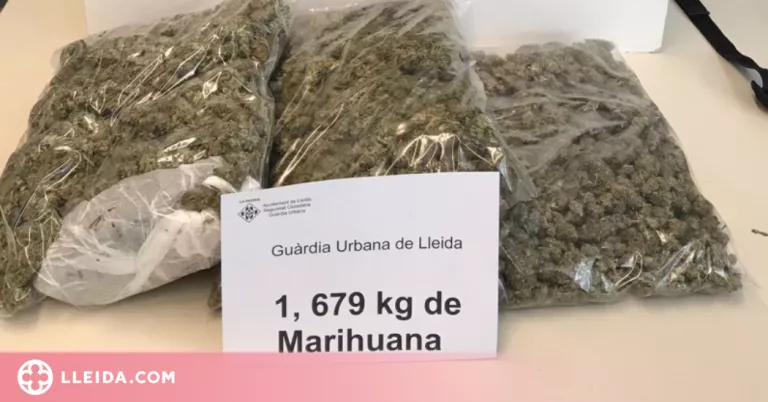 Detingut mentre anava en bicicleta per Lleida amb més d'1,6 quilos de marihuana a la motxilla