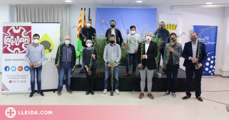 1.300 oliveres solidàries per als municipis garriguencs afectats pels incendis i els aiguats