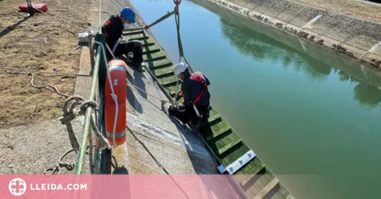 Instal·len una rampa d'evacuació per a animals al canal de Térmens