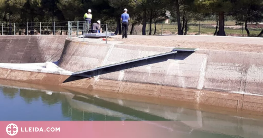 Instal·len una rampa d'evacuació per a animals al canal de Térmens