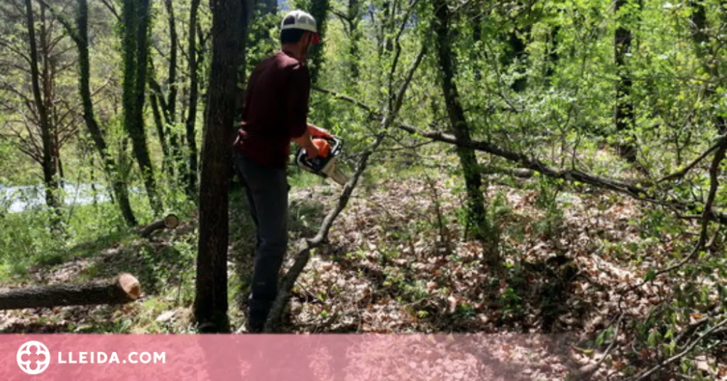 ⏯️ La Vall de Lord engega una prova pilot per lluitar contra els incendis i l'abandonament forestal