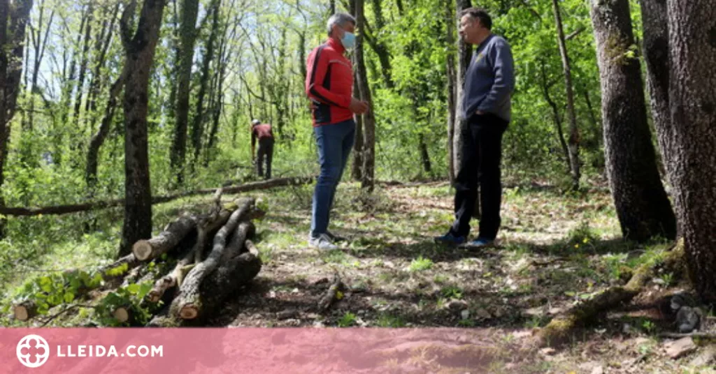 ⏯️ La Vall de Lord engega una prova pilot per lluitar contra els incendis i l'abandonament forestal