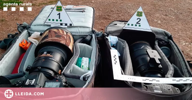 Denunciats per fer fotos al gall fer al Pallars Sobirà sense tenir-ne autorització