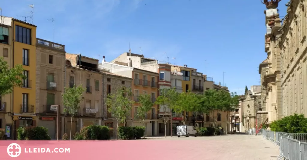Cervera replanta arbres a la plaça Universitat
