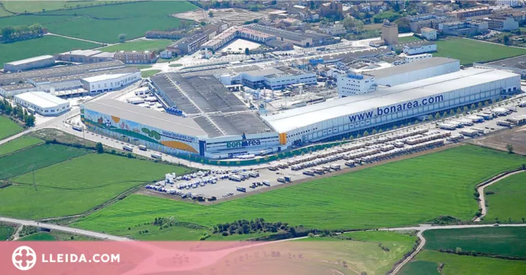 BonÀrea preveu invertir 125 milions als centres alimentaris i obrir o ampliar 44 botigues