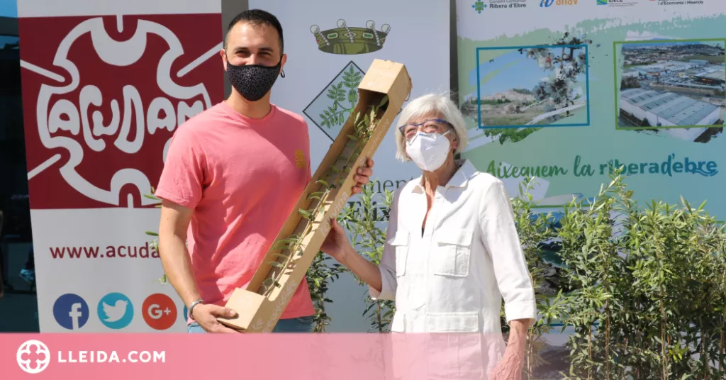 ⏯️ Oliveres solidàries per als pagesos de la Ribera d'Ebre afectats pels incendis