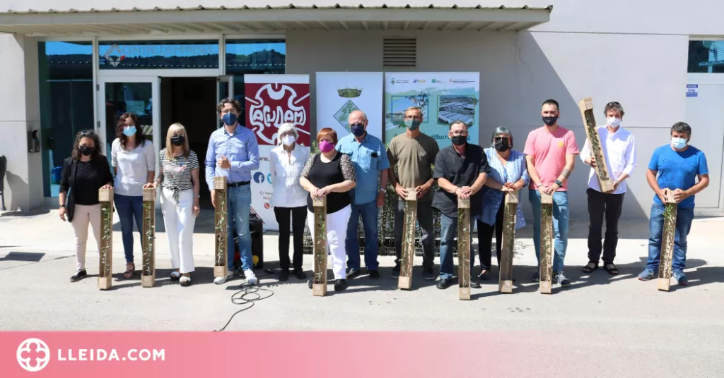 ⏯️ Oliveres solidàries per als pagesos de la Ribera d'Ebre afectats pels incendis