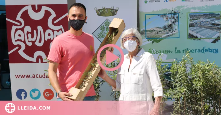 ⏯️ Oliveres solidàries per als pagesos de la Ribera d'Ebre afectats pels incendis