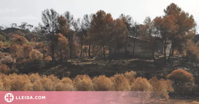 La UdL, en un projecte internacional per gestionar grans incendis forestals a Europa