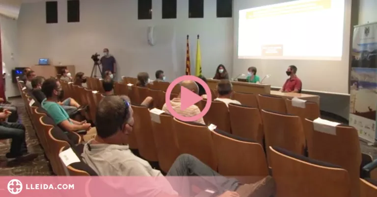 ⏯️ Un de cada tres agricultors del Pallars Jussà ja fa producció de cereal ecològic