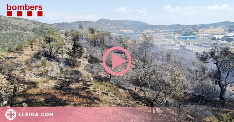 ⏯️ Dos incendis cremen vegetació agrícola a Artesa de Segre i Gratallops