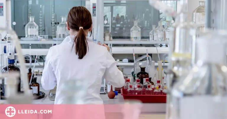 Estudi pioner per avaluar l'eficàcia de la immunoteràpia en 29 tipus de càncer