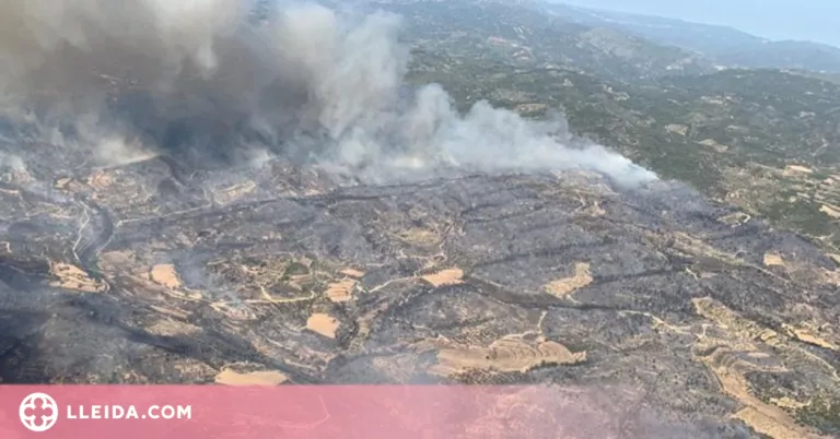 Impuls d'una gestió forestal sostenible al bosc de Ponent