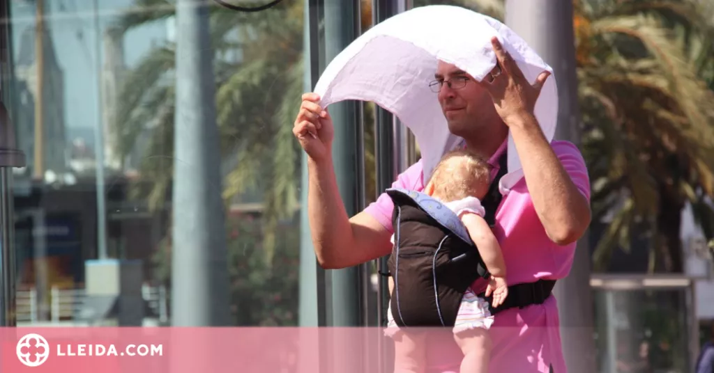 ℹ️ Consells per fer front a l'onada de calor