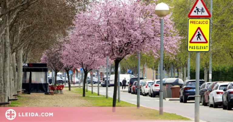 Lleida planta prop d'un miler de nous arbres a la ciutat durant aquest any