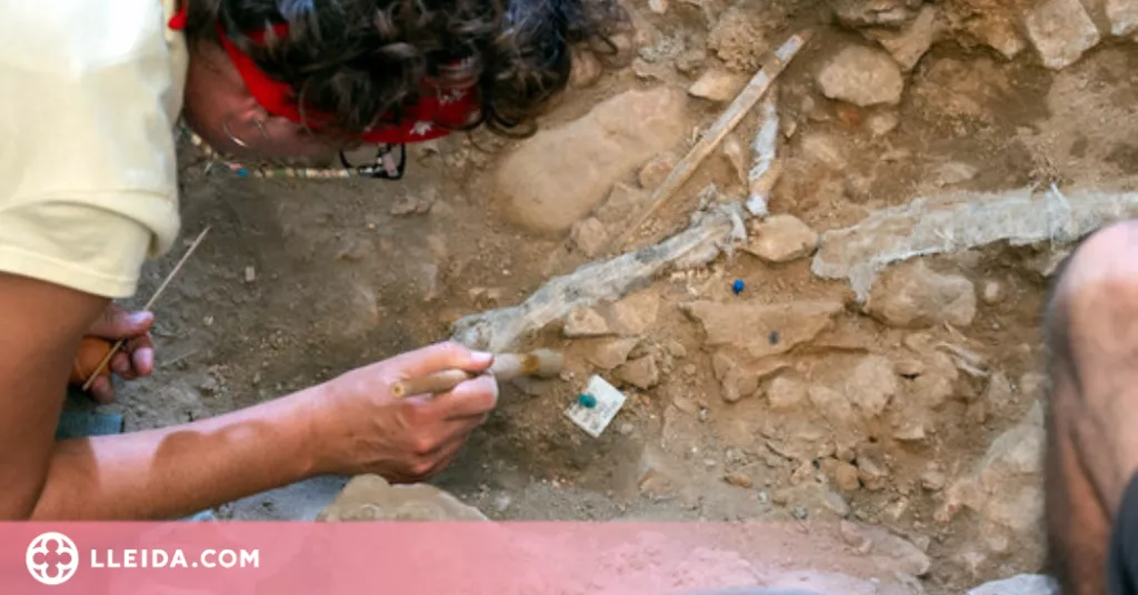 ⏯️ Troben una homo sapiens de 14.000 anys d'antiguitat a la Noguera