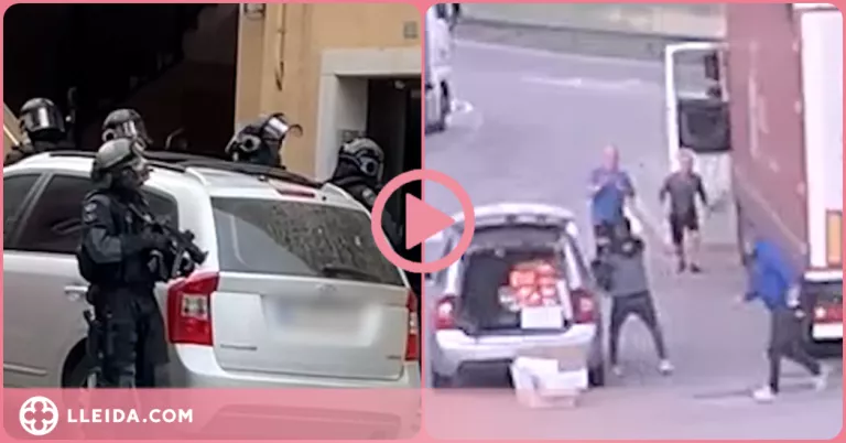 ⏯️ Detenen un clan familiar especialitzat en robatoris en àrees de servei de l'AP-7