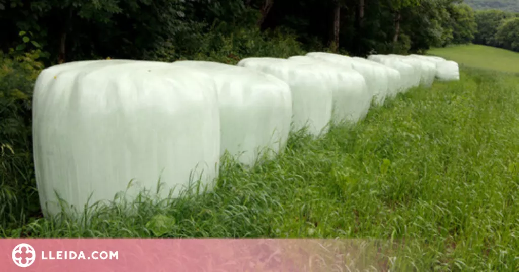 ⏯️ Els ramaders reclamen materials més sostenibles per embolicar les bales d'herba