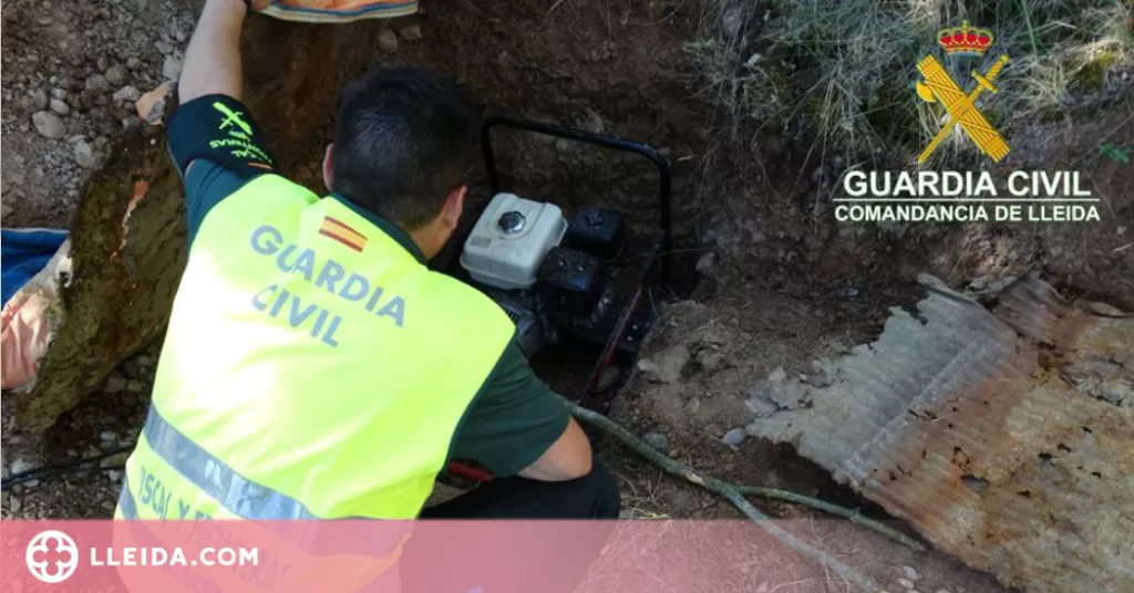 Localitzen una plantació amb 5.700 plantes de marihuana a la Noguera