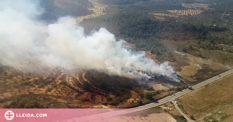 Un incendi crema un camp de blat a les Garrigues
