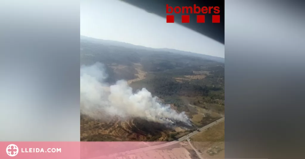 Un incendi crema un camp de blat a les Garrigues
