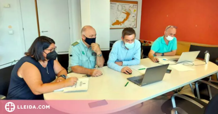 Noves mesures per fer front als danys dels conills als cultius de Ponent
