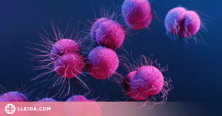 Els bacteris superresistents de les plantes de tractament d'aigües residuals són una amenaça mundial