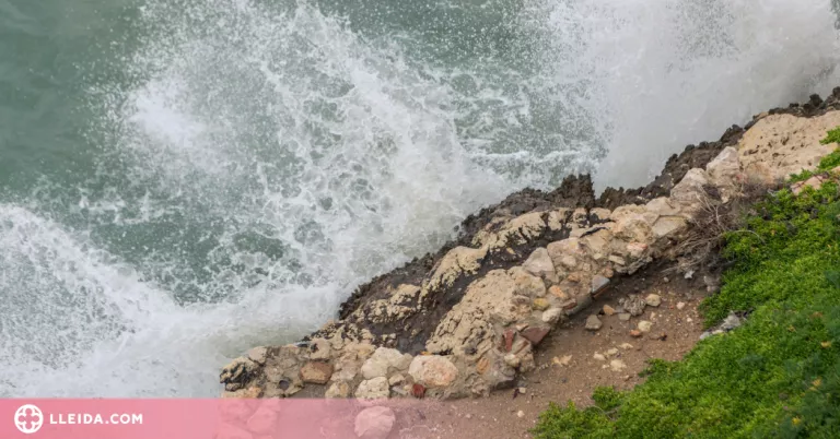 Un estudi determina que el canvi climàtic afecta el plàncton del Mediterrani
