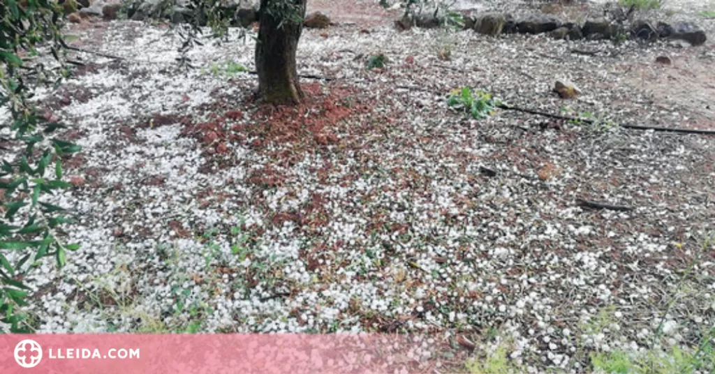 Nit de tempestes fortes a Catalunya, però amb poques incidències
