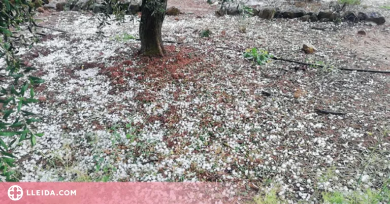 Nit de tempestes fortes a Catalunya, però amb poques incidències