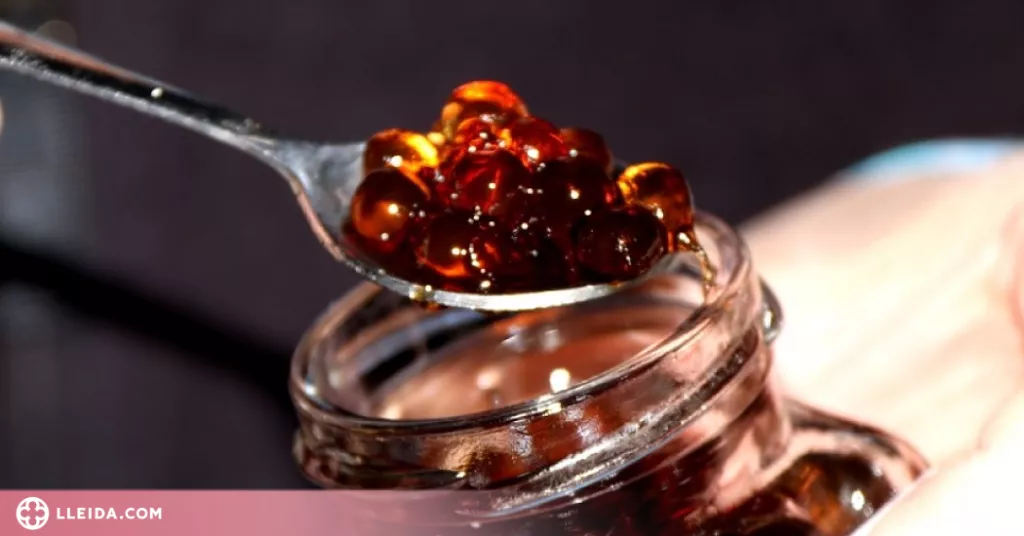 ⏯️ Nou premi internacional per les perles de ratafia dels Raiers de la Pobla