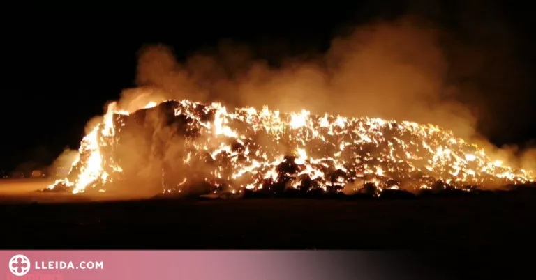 Els Bombers treballen en un incendi a Balaguer