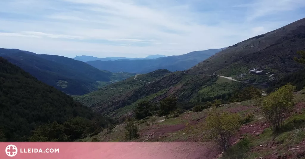 Bon ritme en les activitats del Festival Terra Roia