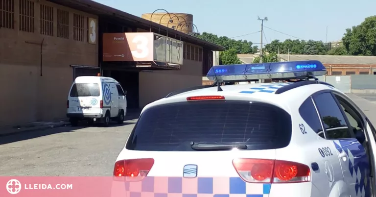 Fruita amb Justícia Social denuncia que la Paeria requisa bosses de temporers