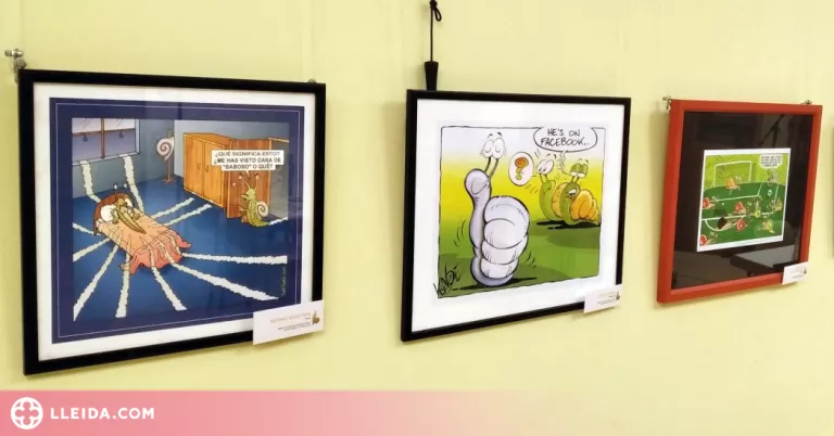 La Fecoll exposa les obres guanyadores del Concurs Internacional d’Humor Gràfic Caragoler