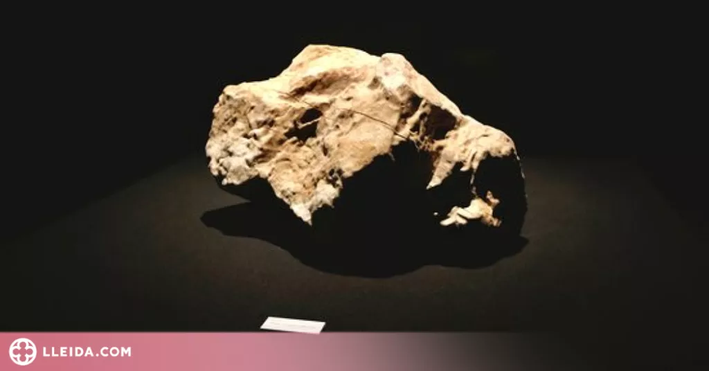 ⏯️ L'art de Perejaume s'integra en la col·lecció barroca del Museu de Solsona