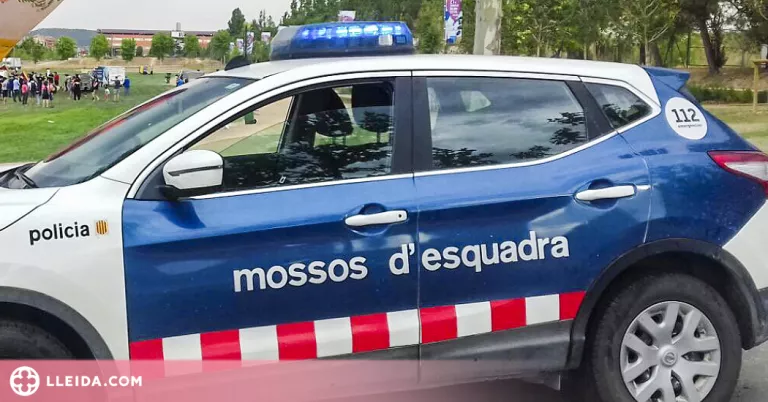 Detinguts un home i una dona per diversos furts i estafes a Ponent