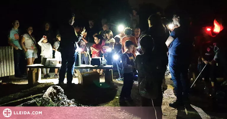 Torna la nit dels Ratpenats a la Mitjana