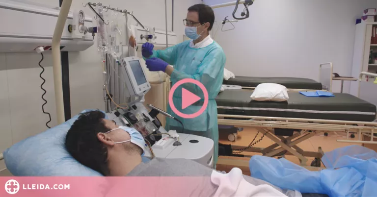 ⏯️ Les donacions efectives de medul·la òssia segueixen augmentant a Catalunya malgrat la covid