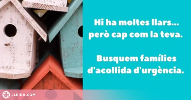 ⏯️ Es necessiten amb urgència famílies acollidores per infants i adolescents